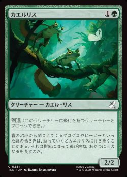 画像1: 【日本語版】カエルリス/Frog-Squirrels