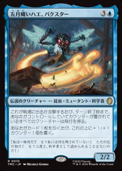 画像1: 【日本語版】五月蠅いハエ、バクスター/Baxter, Fly in the Ointment