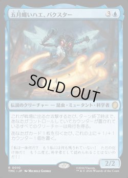 画像1: 【日本語版】五月蠅いハエ、バクスター/Baxter, Fly in the Ointment