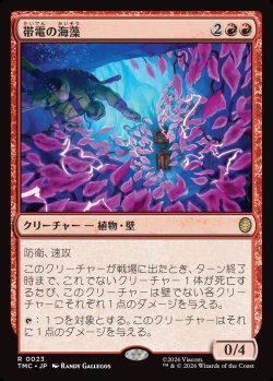 画像1: 【日本語版】帯電の海藻/Electric Seaweed