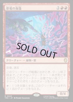 画像1: 【日本語版】帯電の海藻/Electric Seaweed