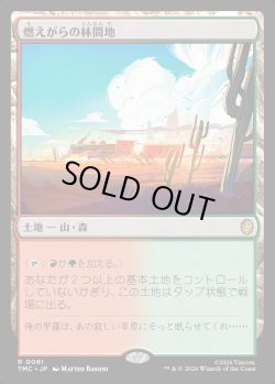 画像1: 【日本語版】燃えがらの林間地/Cinder Glade