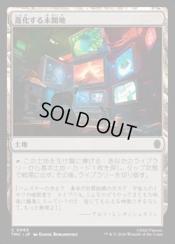 画像1: 【日本語版】進化する未開地/Evolving Wilds