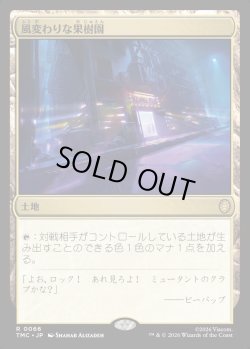 画像1: 【日本語版】風変わりな果樹園/Exotic Orchard