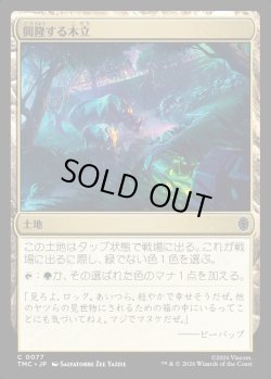 画像1: 【日本語版】興隆する木立/Thriving Grove