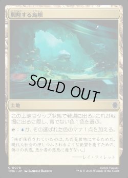 画像1: 【日本語版】興隆する島嶼/Thriving Isle