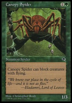 画像1: 【日本語版】梢の蜘蛛/Canopy Spider
