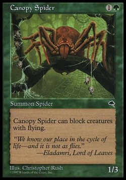 画像1: 【日本語版】梢の蜘蛛/Canopy Spider