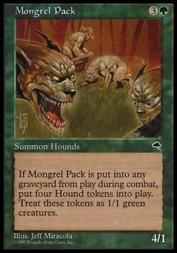 画像1: 『英語版』雑種犬の群/Mongrel Pack