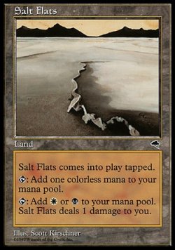 画像1: 『英語版』塩の干潟/Salt Flats
