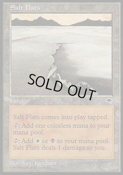 画像1: 【日本語版】塩の干潟/Salt Flats