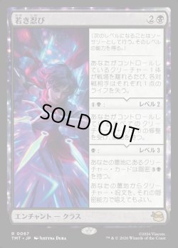 画像1: 【日本語版】若き忍び/Ninja Teen