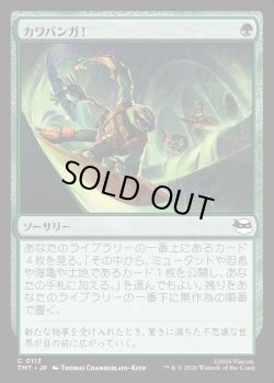 画像1: 【日本語版】カワバンガ！/Cowabunga!