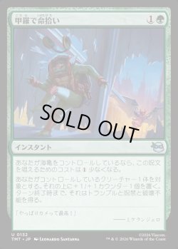 画像1: 【日本語版】甲羅で命拾い/Saved by the Shell