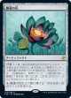 【日本語版】睡蓮の花/Lotus Bloom
