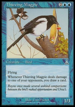 画像1: 『英語版』泥棒カササギ/Thieving Magpie