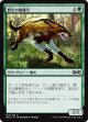【日本語版】野生の雑種犬/Wild Mongrel