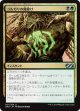 【日本語版】ゴルガリの魔除け/Golgari Charm