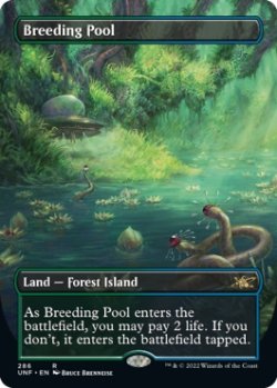 画像1: 『Foil』『英語版』繁殖池/Breeding Pool