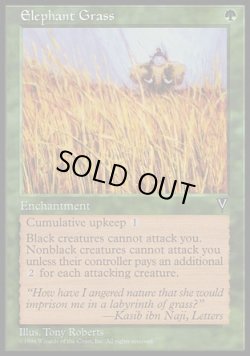 画像1: 【日本語版】エレファント・グラス/Elephant Grass