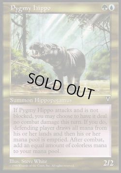 画像1: 【日本語版】コビトカバ/Pygmy Hippo