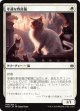 【日本語版】幸運な野良猫/Charmed Stray