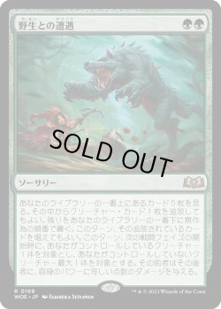 画像1: 【Foil】【日本語版】野生との遭遇/Feral Encounter