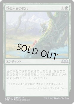 画像1: 【日本語版】豆の木をのぼれ/Up the Beanstalk