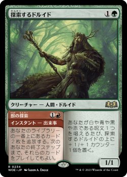 画像1: 【日本語版】探索するドルイド/Questing Druid