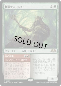 画像1: 【日本語版】探索するドルイド/Questing Druid