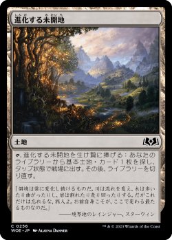 画像1: 【日本語版】進化する未開地/Evolving Wilds