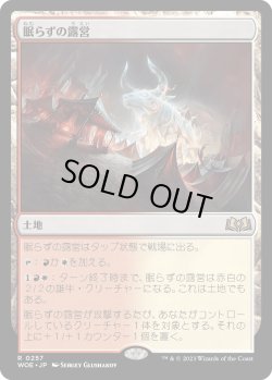 画像1: 【Foil】【日本語版】眠らずの露営/Restless Bivouac