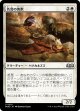 【日本語版】名誉の害獣/Pests of Honor