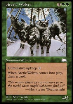 画像1: 『英語版』北極狼/Arctic Wolves
