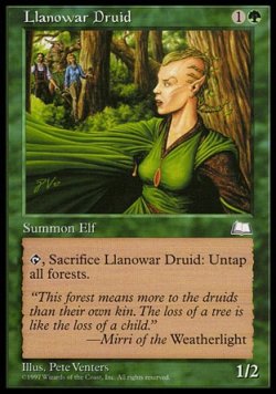 画像1: 『英語版』ラノワールのドルイド/Llanowar Druid