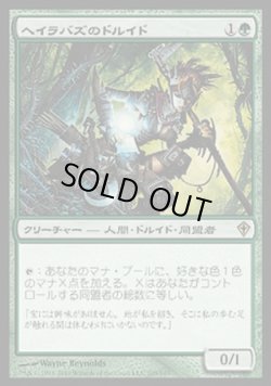 画像1: 【日本語版】ヘイラバズのドルイド/Harabaz Druid