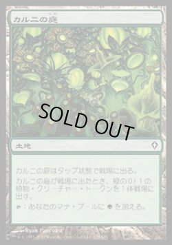画像1: 【日本語版】カルニの庭/Khalni Garden