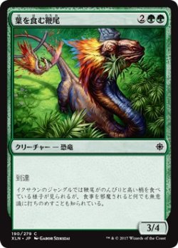 画像1: 【日本語版】葉を食む鞭尾/Grazing Whiptail
