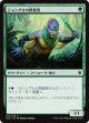 【日本語版】ジャングルの探査者/Jungle Delver