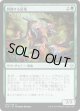 【日本語版】群棲する猛竜/Ranging Raptors