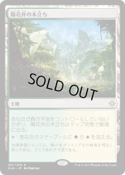 画像1: 【日本語版】陽花弁の木立ち/Sunpetal Grove