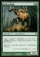 【日本語版】放牧の林鹿/Grazing Gladehart