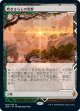 【Expeditions】【日本語版】吹きさらしの荒野/Windswept Heath