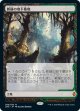 【Foil】【日本語版】【Expeditions】新緑の地下墓地/Verdant Catacombs