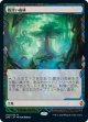 【Expeditions】【日本語版】霧深い雨林/Misty Rainforest