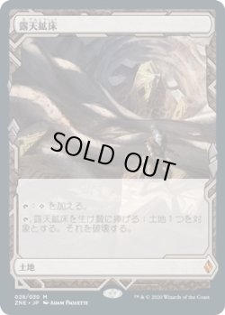 画像1: 【Expeditions】【日本語版】露天鉱床/Strip Mine