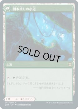 画像2: 【Foil】【日本語版】岩山被りの小道/樹木被りの小道/Cragcrown Pathway/Timbercrown Pathway