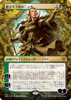 画像1: 【ボーダーレス】【日本語版】影さす太枝のニッサ/Nissa of Shadowed Boughs