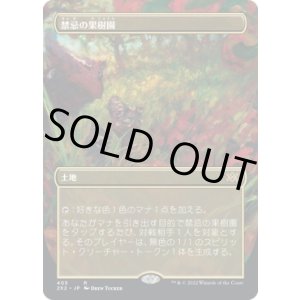 画像: 【ボーダーレス】【日本語版】禁忌の果樹園/Forbidden Orchard