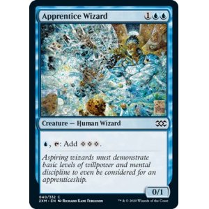 画像: 『英語版』魔法使いの弟子/Apprentice Wizard